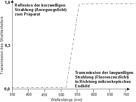 Optische Eigenschaften eines Strahlteilers