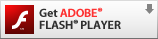 Zum Download des aktuellen Flash-Players